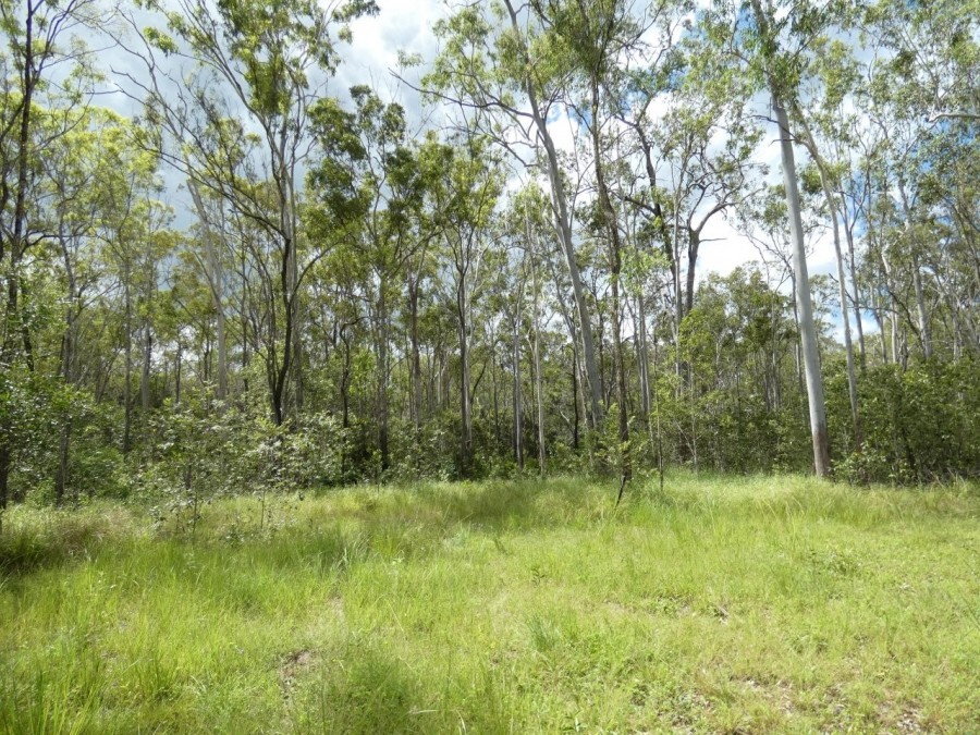 Real Estate in Rosedale