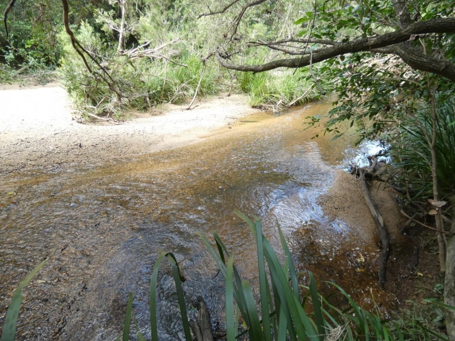 Rosedale real estate For Sale