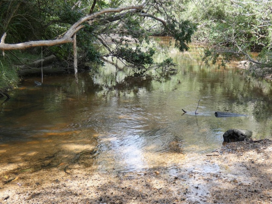 Real Estate in Rosedale