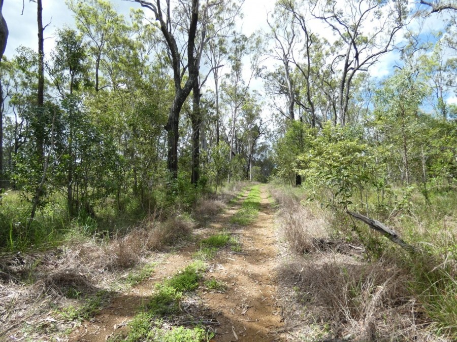 Open for inspection in Rosedale