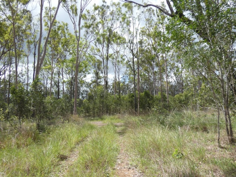 Selling your property in Rosedale