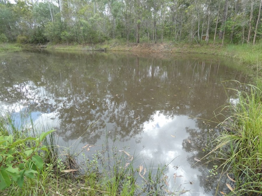 Real Estate in Rosedale