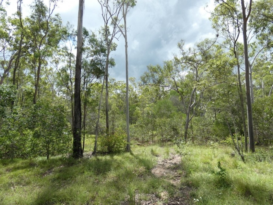 Real Estate in Rosedale