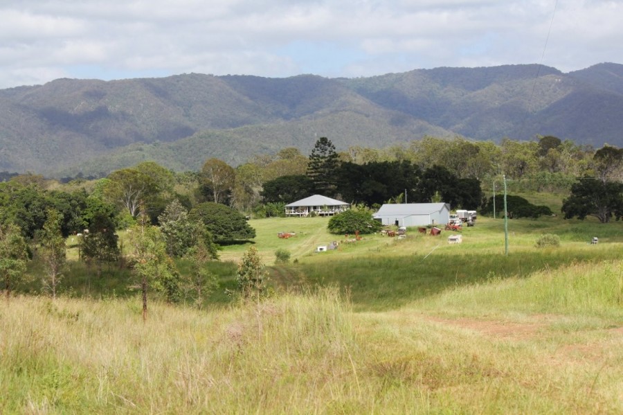 Property For Sale in Colosseum