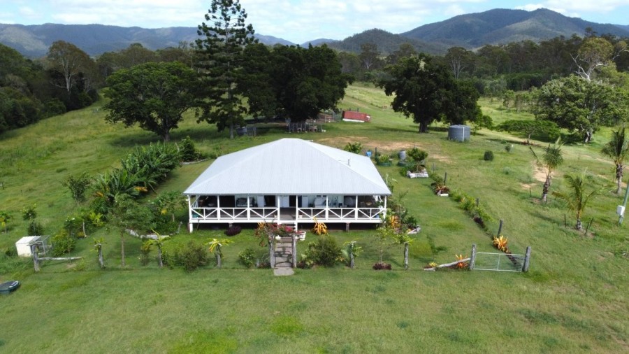 Real Estate in Colosseum