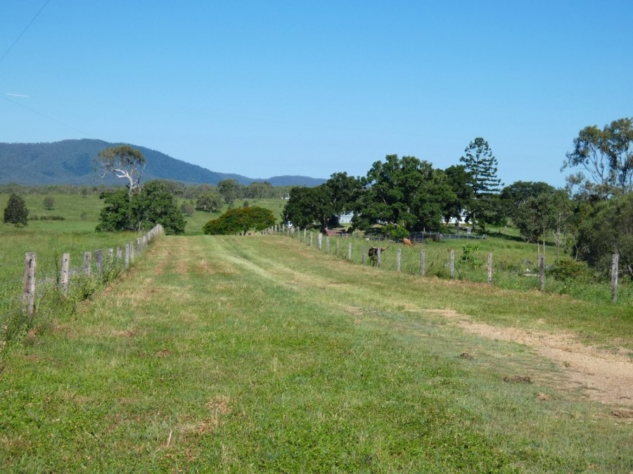 Real Estate in Colosseum