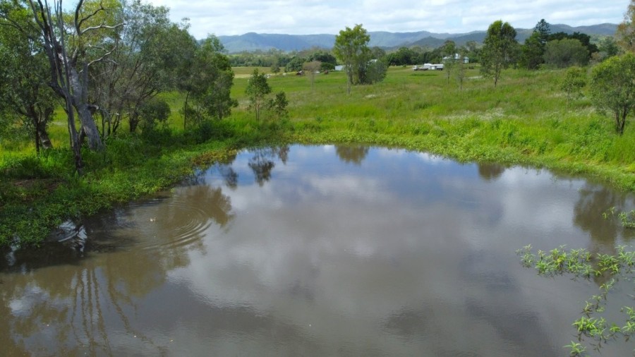 Real Estate in Colosseum