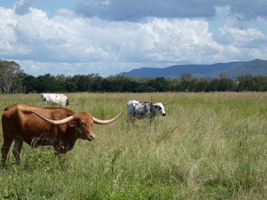 Open for inspection in Colosseum