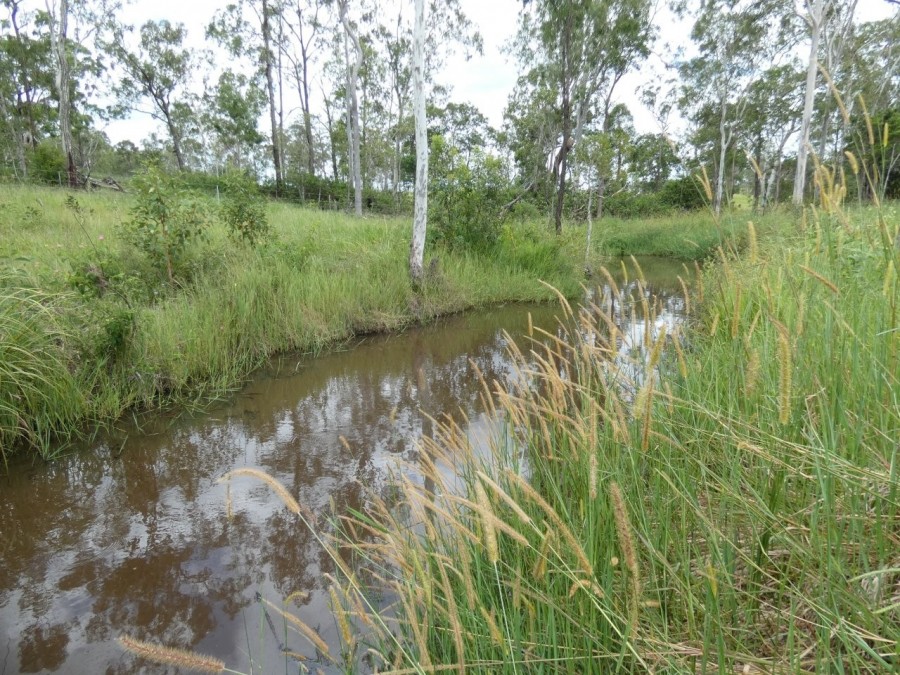 Real Estate in Waterloo