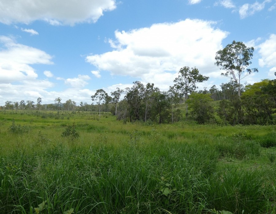 Real Estate in Waterloo