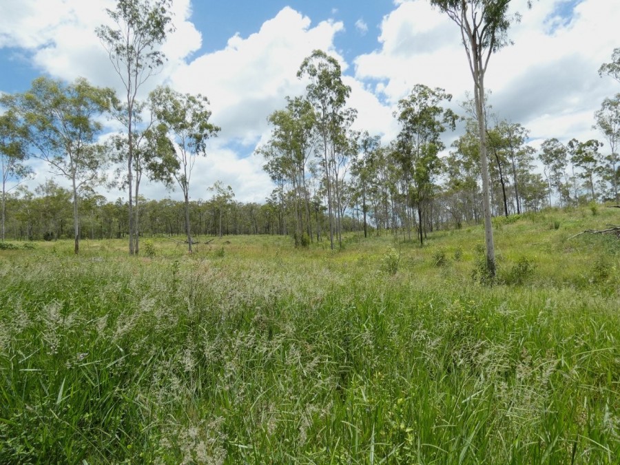 Real Estate in Waterloo