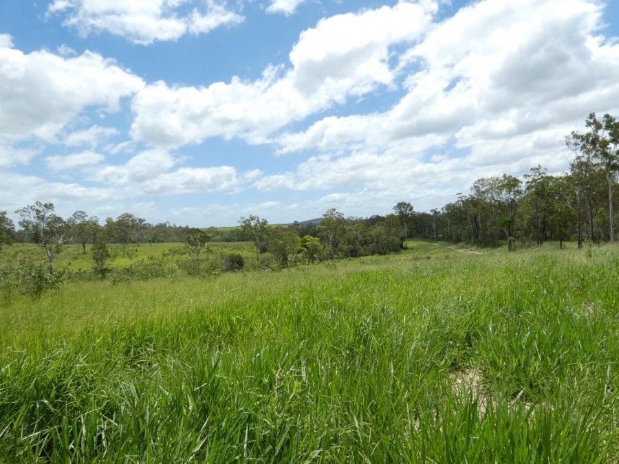 Real Estate in Waterloo