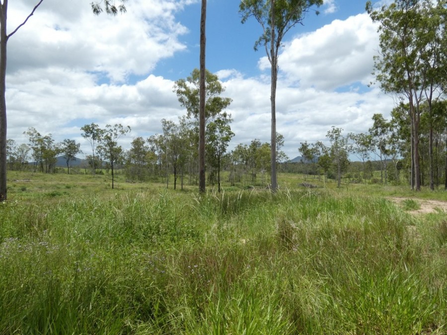 Real Estate in Waterloo