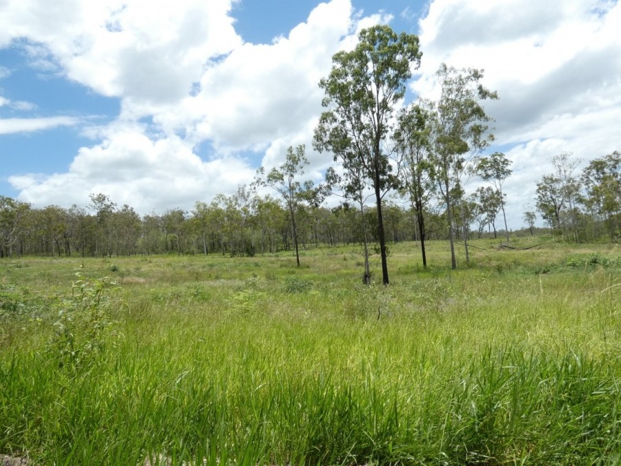 Open for inspection in Waterloo