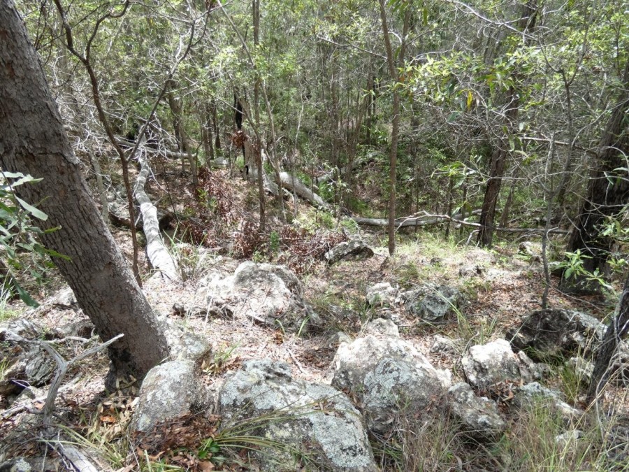 Real Estate in Waterloo