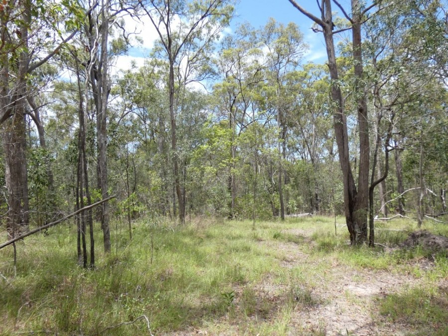 Real Estate in Waterloo