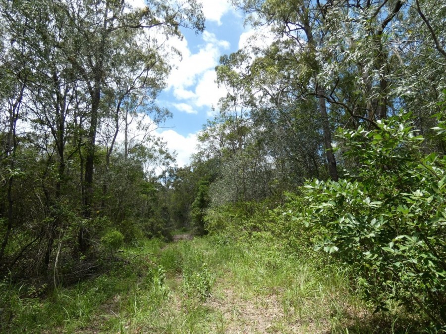 Real Estate in Waterloo