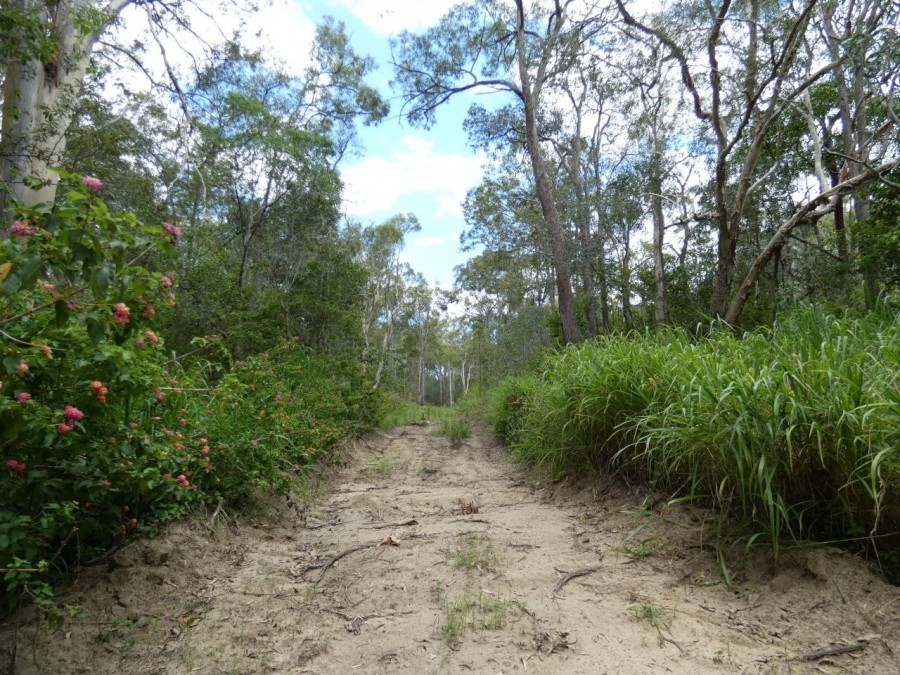 Real Estate in Waterloo