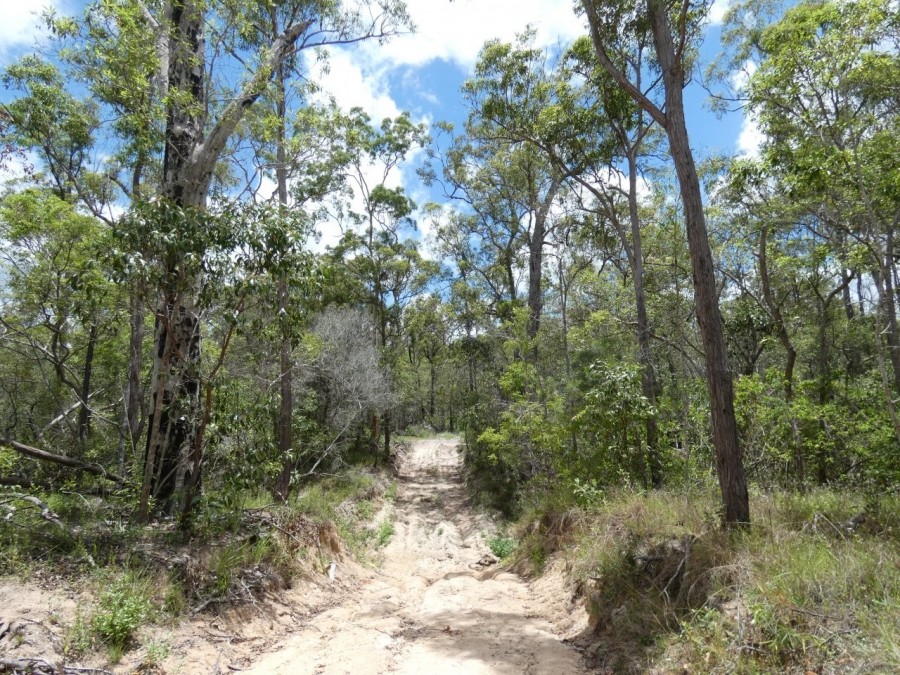 Real Estate in Waterloo