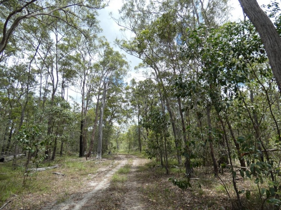 Real Estate in Waterloo