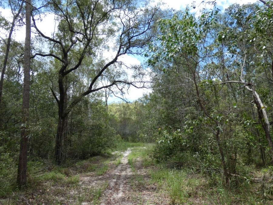 Real Estate in Waterloo