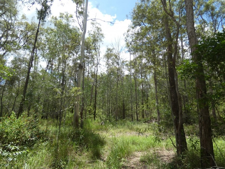 Real Estate in Waterloo