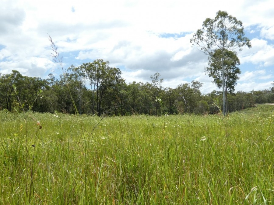 Real Estate in Waterloo