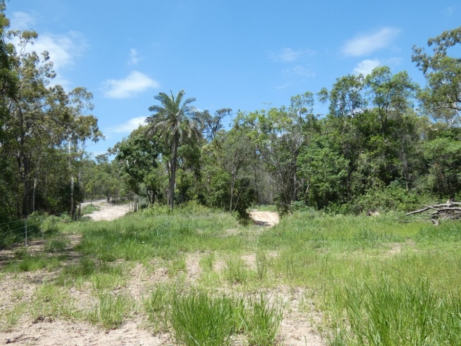 Real Estate in Waterloo