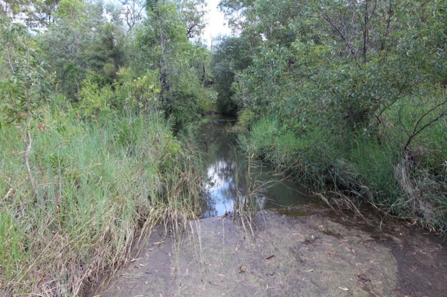 Real Estate in Mount Maria