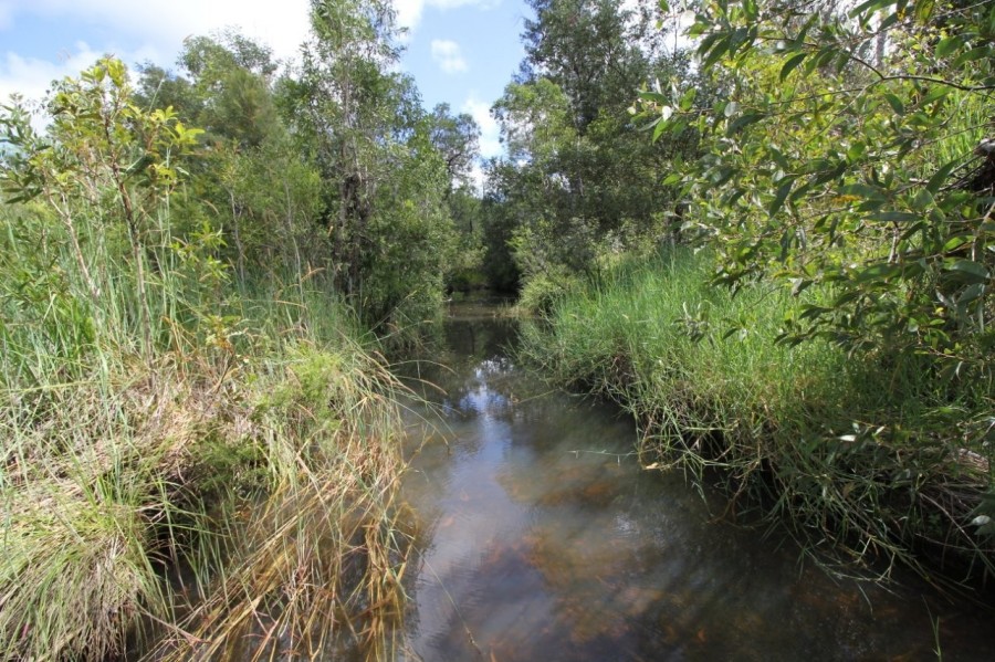 Real Estate in Mount Maria