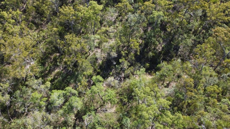 Real Estate in Mount Maria