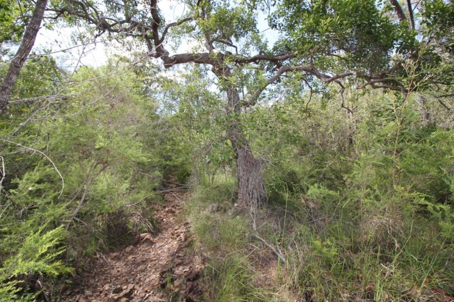 Real Estate in Mount Maria