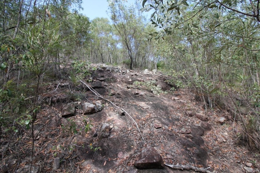 Real Estate in Mount Maria