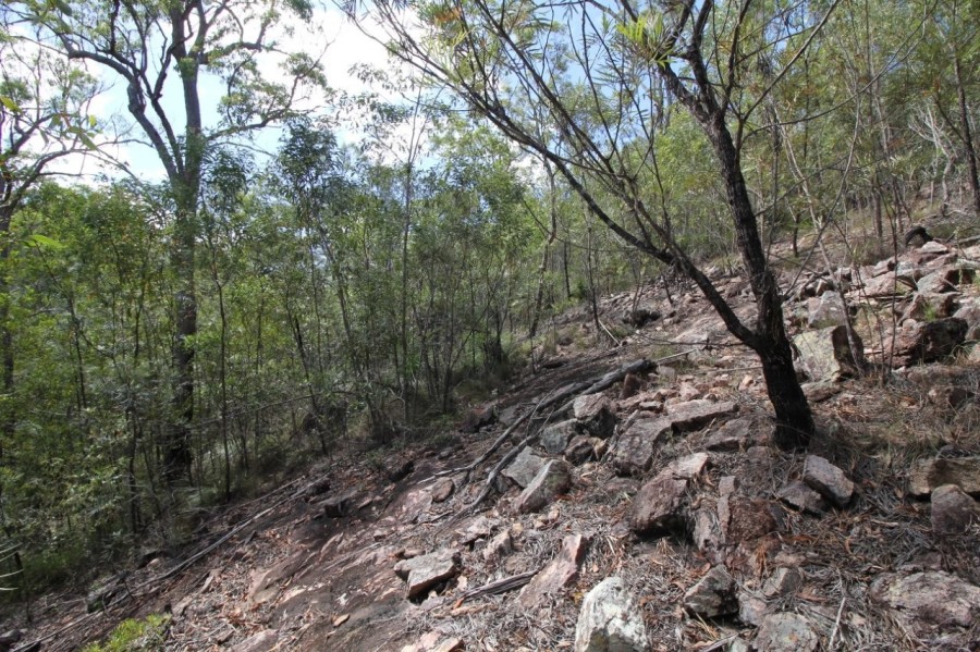 Real Estate in Mount Maria