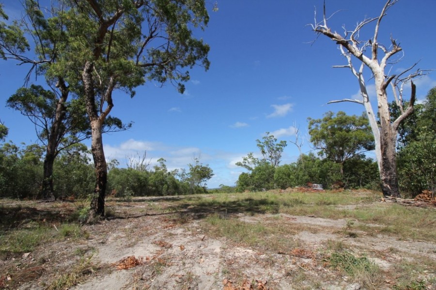 Real Estate in Mount Maria