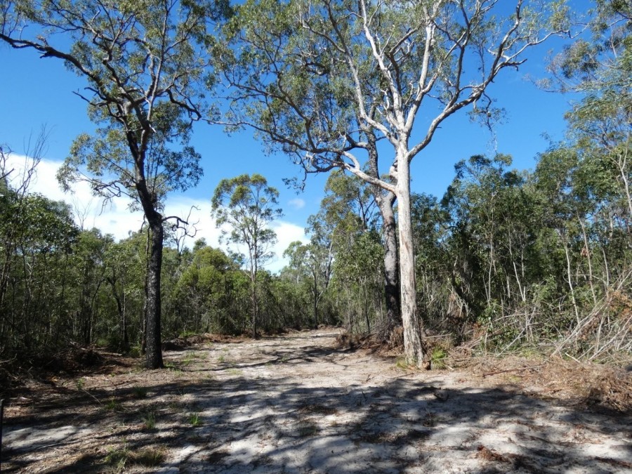 Real Estate in Deepwater