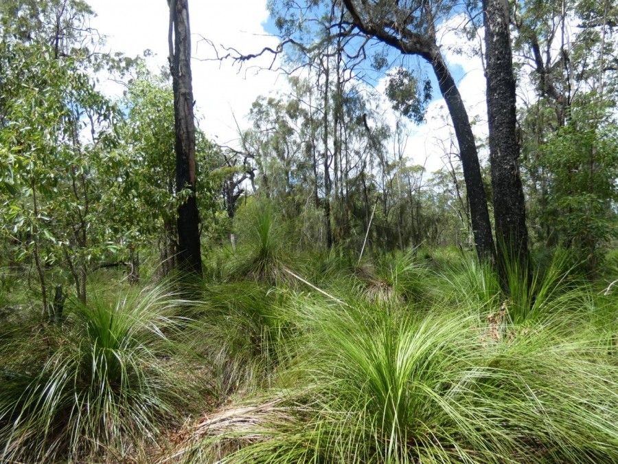 Real Estate in Deepwater