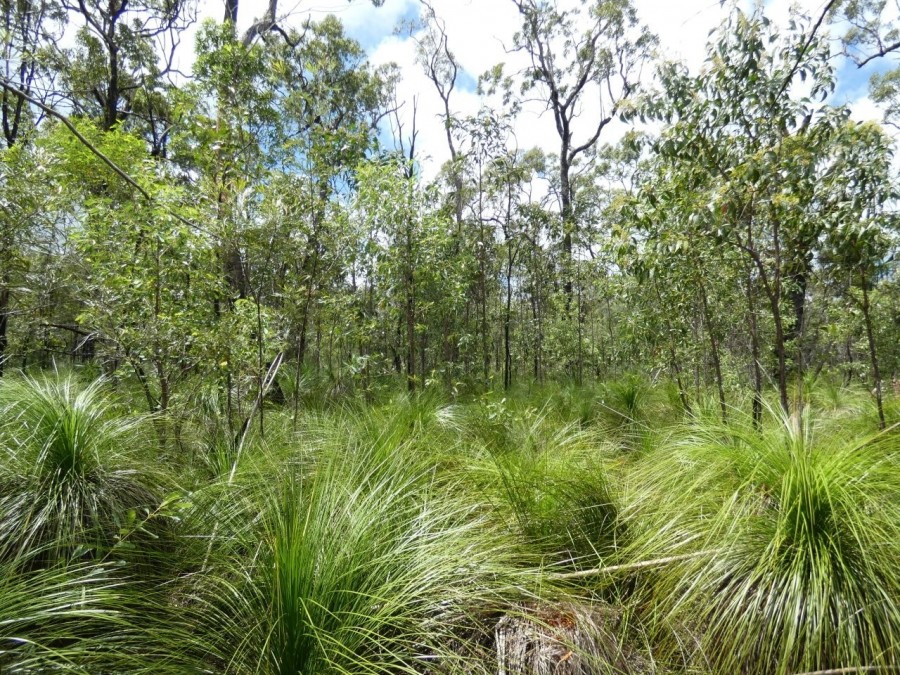 Real Estate in Deepwater