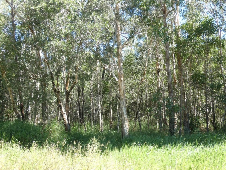 Real Estate in Deepwater