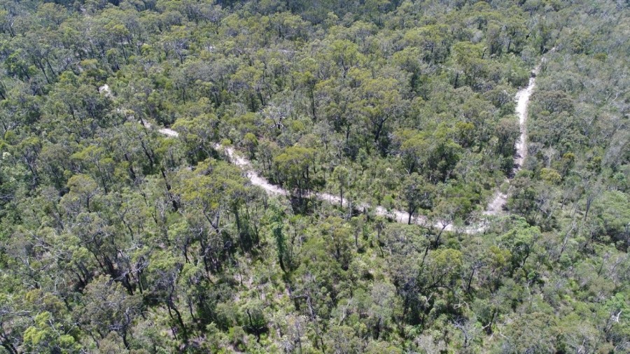 Real Estate in Deepwater