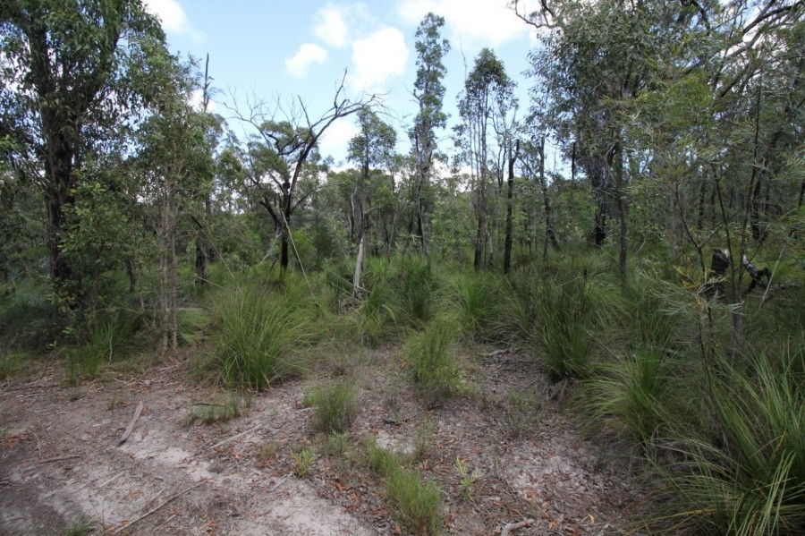 Real Estate in Deepwater