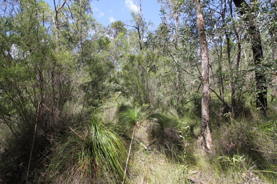 Real Estate in Deepwater