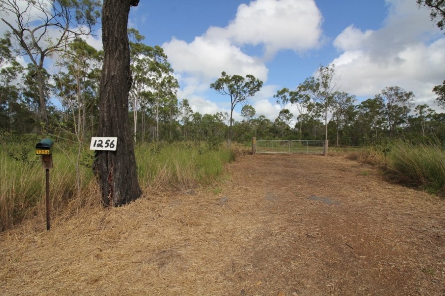 Real Estate in Mount Maria