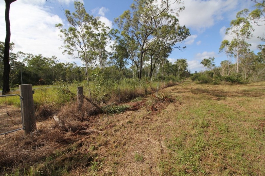 Real Estate in Mount Maria