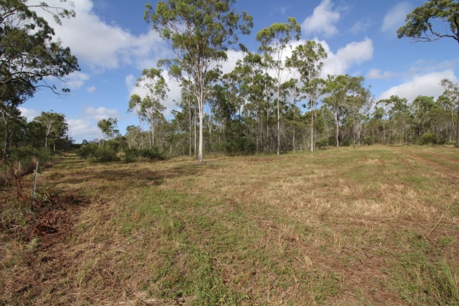 Real Estate in Mount Maria