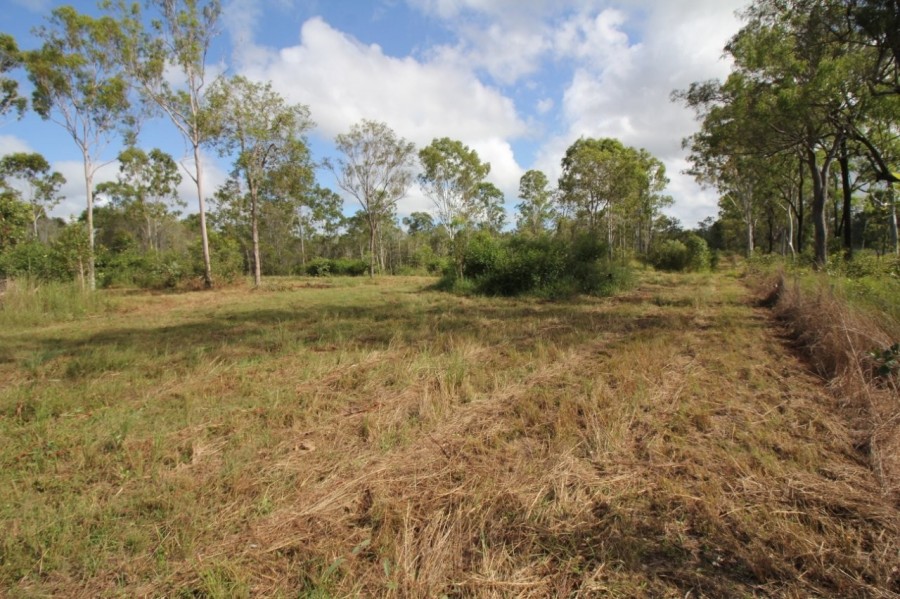 Real Estate in Mount Maria