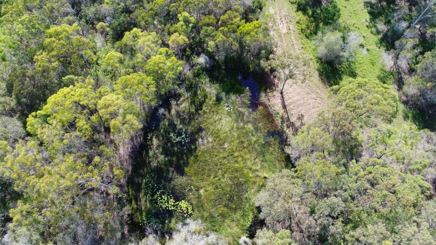 Real Estate in Mount Maria