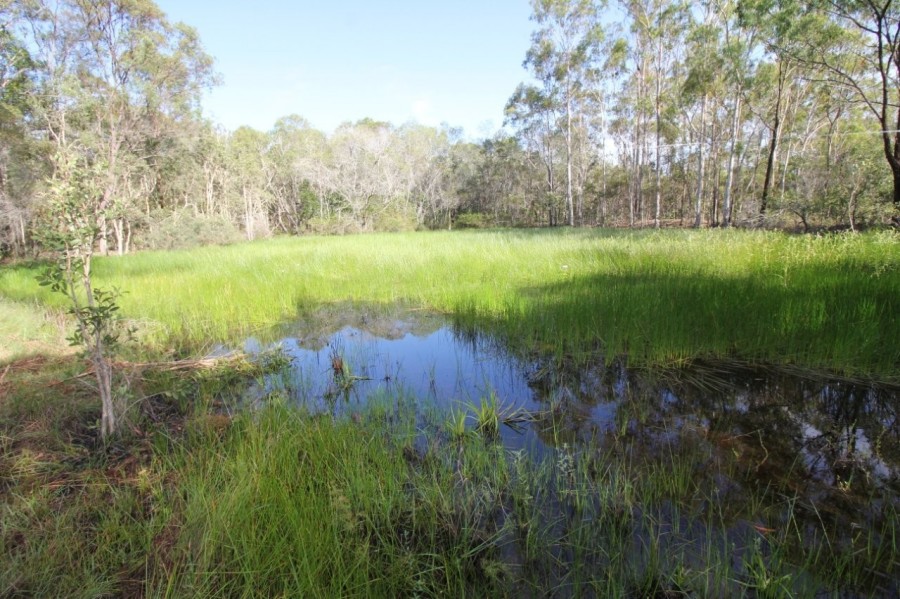 Real Estate in Mount Maria