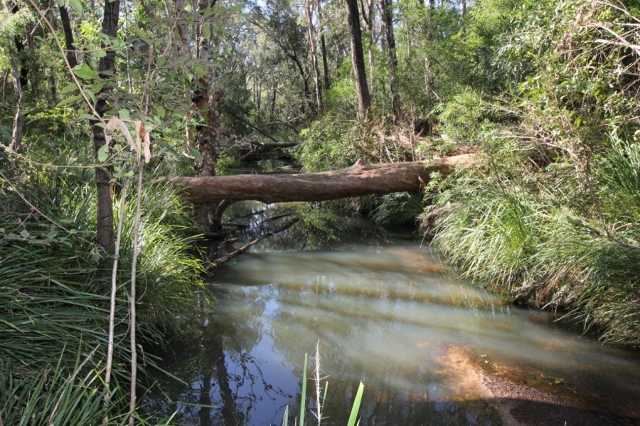 Open for inspection in Berajondo