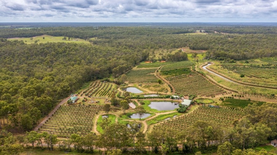 Real Estate in Bullyard